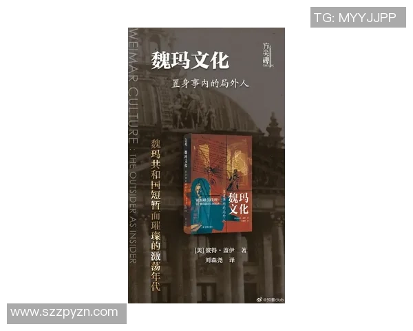 探索索博斯洛伊的历史与文化魅力，揭示其在现代社会中的重要性与影响